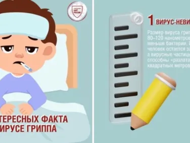 Факты о вирусе гриппа