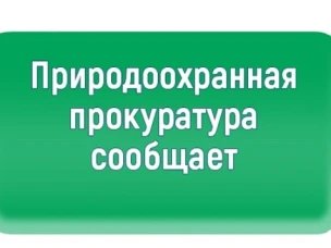Нижегородская межрайонная  природоохранная прокуратура разъясняет