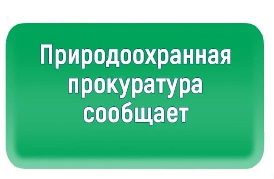 Нижегородская межрайонная  природоохранная прокуратура разъясняет