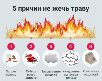 Не жгите сухую траву!