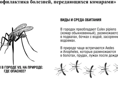 Профилактика болезней, передающихся комарами