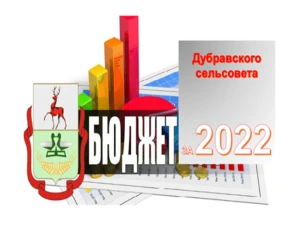 17 мая 2023 года в 16.00 часов в Дубравском территориальном отделе администрации Дальнеконстантиновского муниципального округа по адресу: п.Дубрава Дальнеконстантиновского муниципального округа, ул.Восточная, д.28, в кабинете начальника теротдела, состоятся публичные слушания по отчету об исполнении бюджета Дубравского сельсовета Дальнеконстантиновского муниципального района за 2022 год.