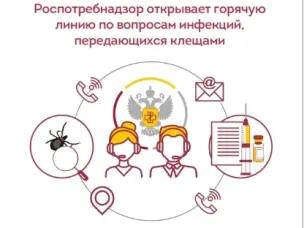 С 27 апреля по 10 мая Роспотребнадзор проведет Всероссийскую горячую линию по вопросам профилактики клещевого вирусного энцефалита (КВЭ) и других инфекций, передающихся клещами