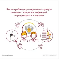 С 27 апреля по 10 мая Роспотребнадзор проведет Всероссийскую горячую линию по вопросам профилактики клещевого вирусного энцефалита (КВЭ) и других инфекций, передающихся клещами