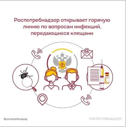 С 27 апреля по 10 мая Роспотребнадзор проведет Всероссийскую горячую линию по вопросам профилактики клещевого вирусного энцефалита (КВЭ) и других инфекций, передающихся клещами