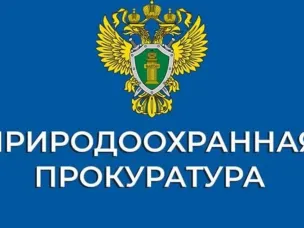 Нижегородская межрайонная  природоохранная прокуратура разъясняет