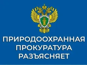 Нижегородская межрайонная природоохранная прокуратура разъясняет