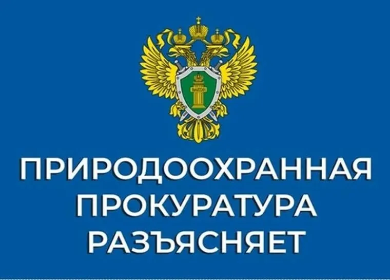 Нижегородская межрайонная природоохранная прокуратура разъясняет