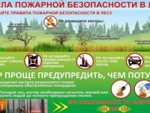 Правила пожарной безопасности в лесах