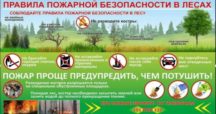 Правила пожарной безопасности в лесах
