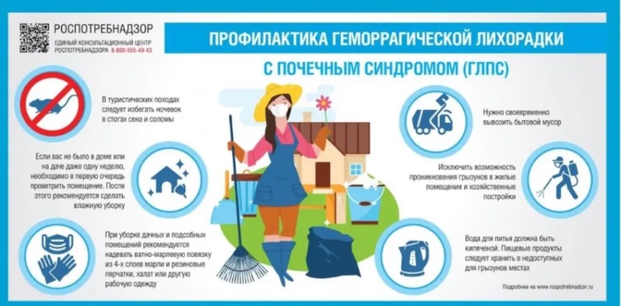 Самые эффективные методы борьбы с грызунами