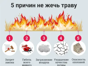 Обращение к населению! Не жгите сухую траву!