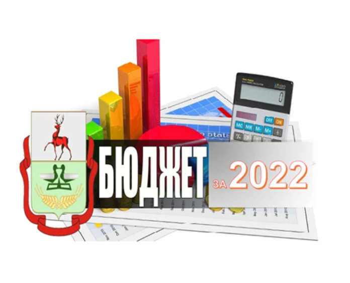 17 мая 2023 года в 17.10 часов в зале заседаний администрации Дальнеконстантиновского муниципального округа по адресу: р.п.Дальнее Константиново, ул.Советская, д. 99, состоятся публичные слушания по отчету об исполнении бюджета Дальнеконстантиновского муниципального района за 2022 год.